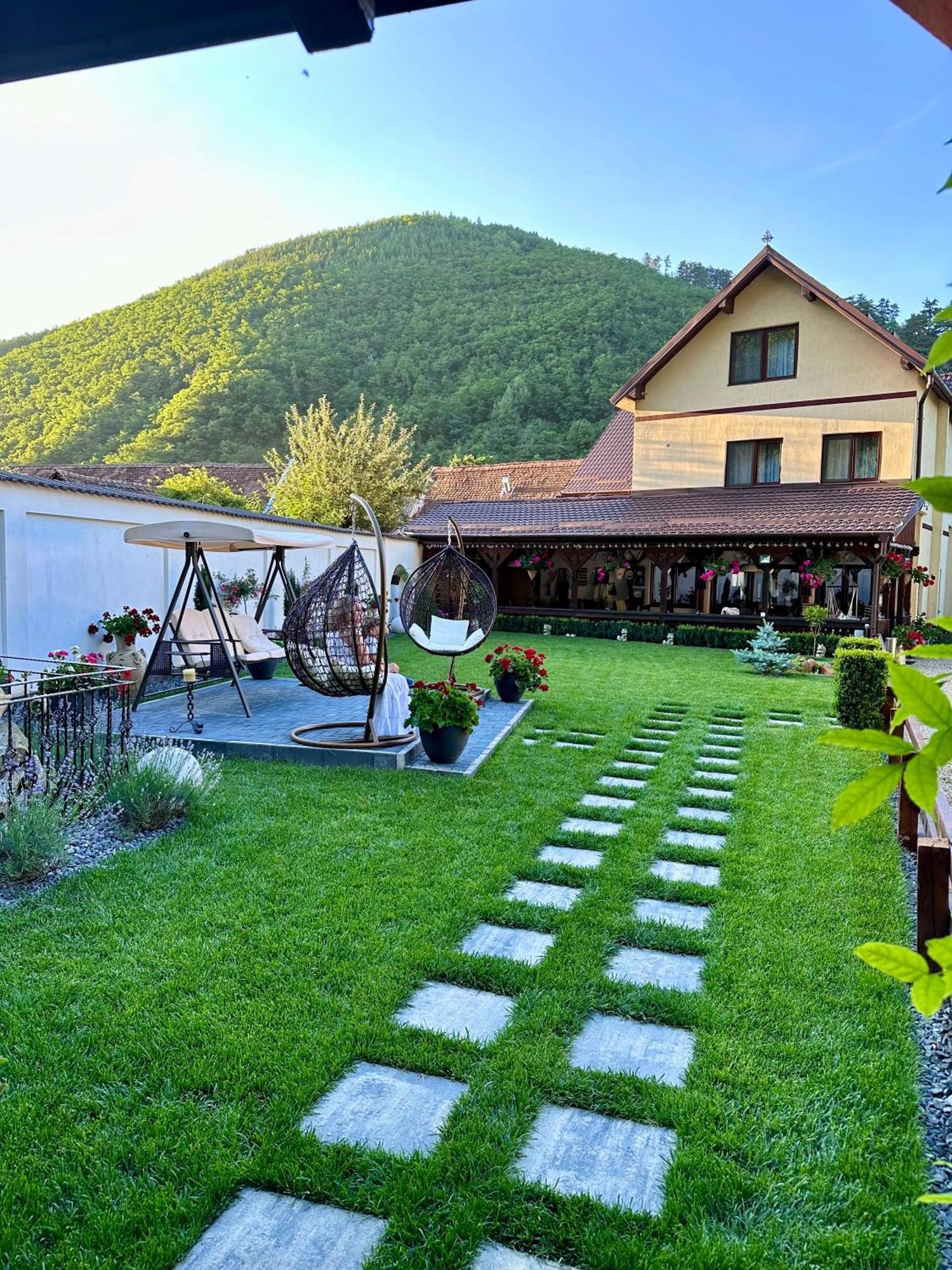 Pensiunea Domnescu Hotel Sălişte Exterior foto