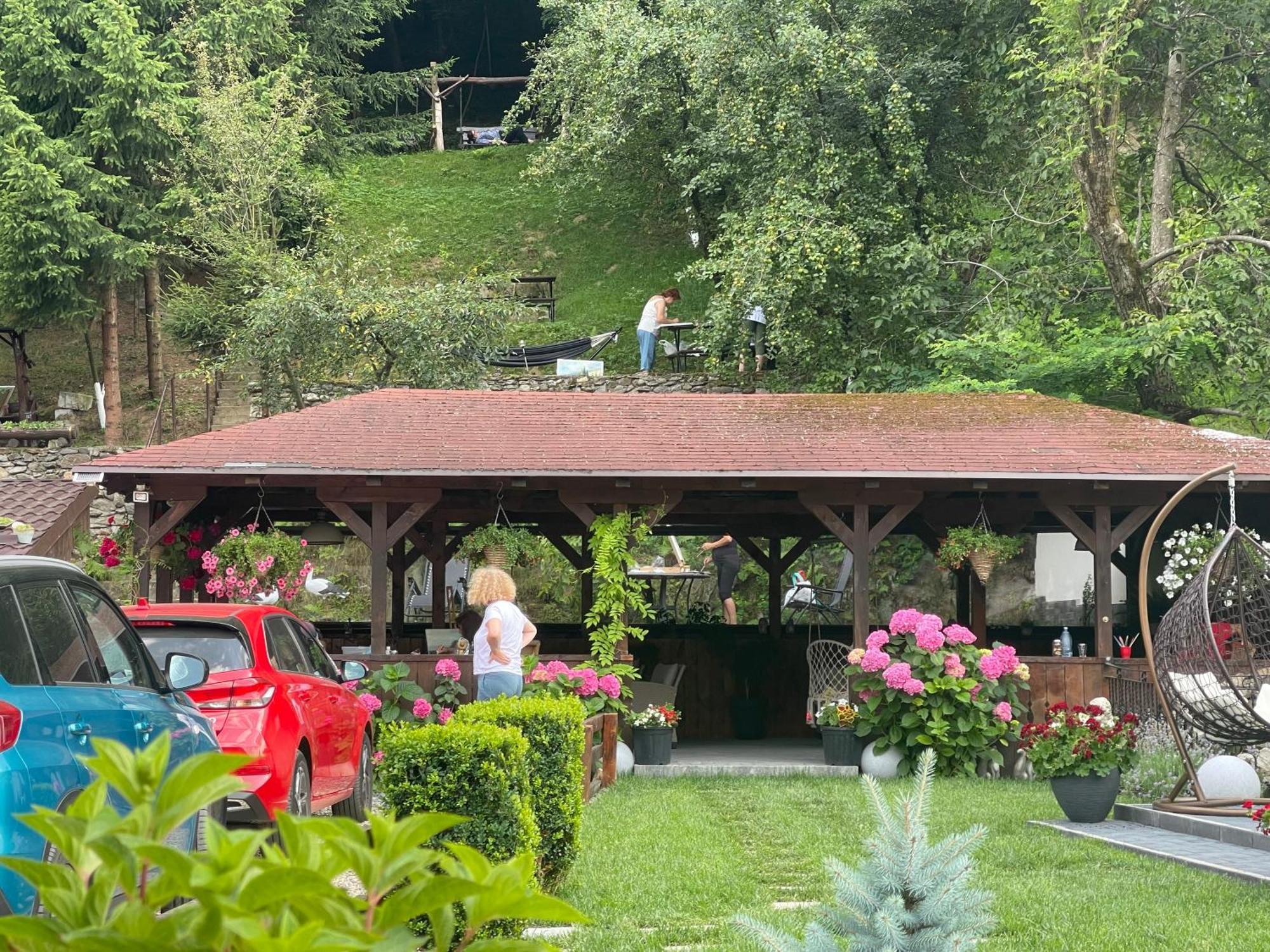 Pensiunea Domnescu Hotel Sălişte Exterior foto