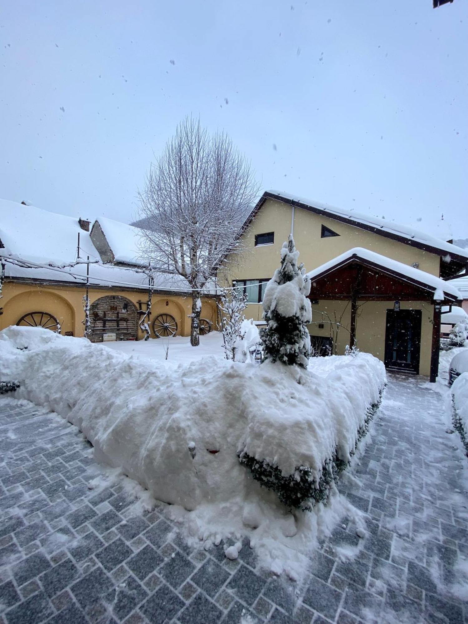 Pensiunea Domnescu Hotel Sălişte Exterior foto