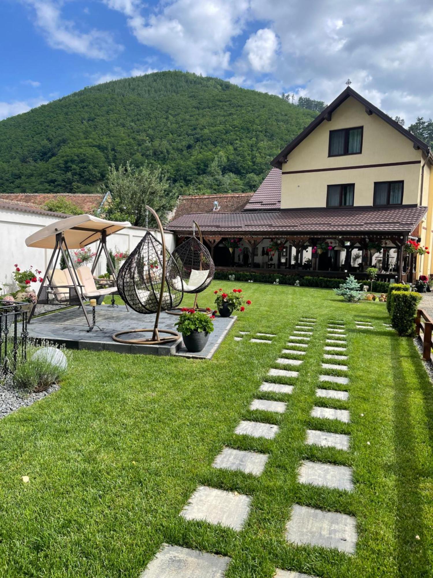 Pensiunea Domnescu Hotel Sălişte Exterior foto