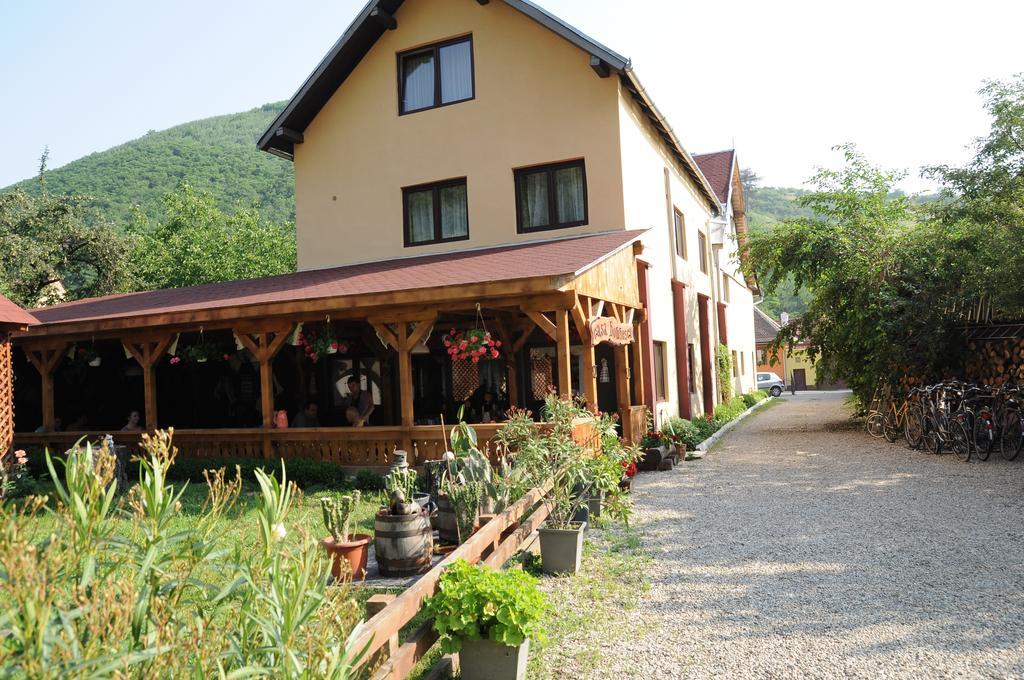 Pensiunea Domnescu Hotel Sălişte Exterior foto