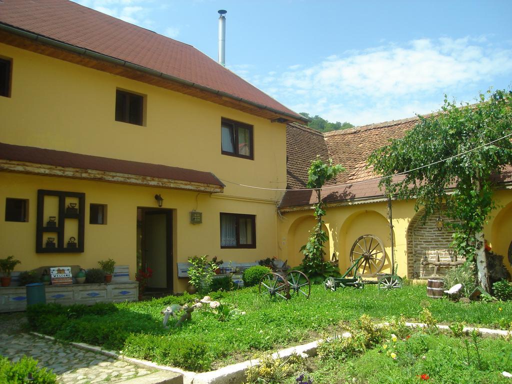 Pensiunea Domnescu Hotel Sălişte Exterior foto