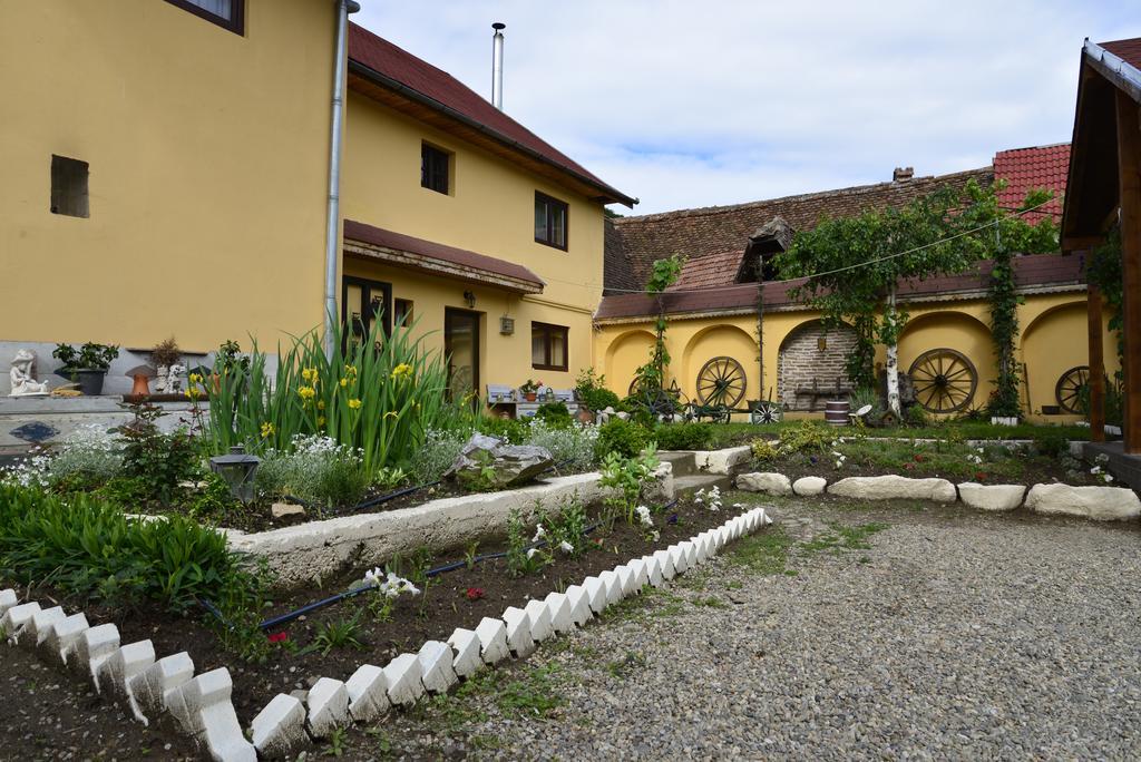 Pensiunea Domnescu Hotel Sălişte Exterior foto