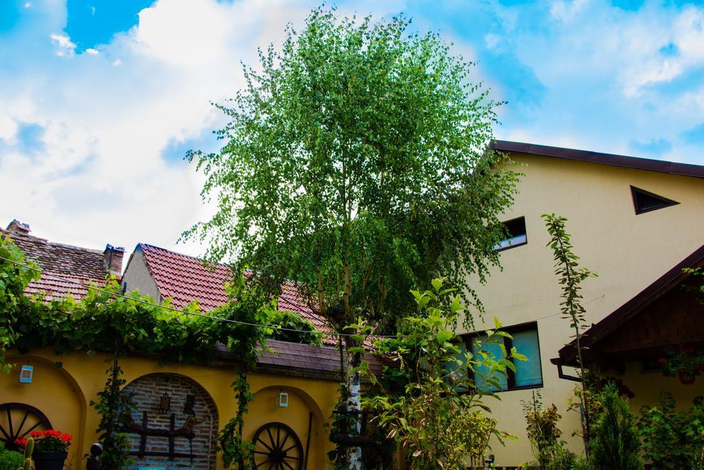 Pensiunea Domnescu Hotel Sălişte Exterior foto