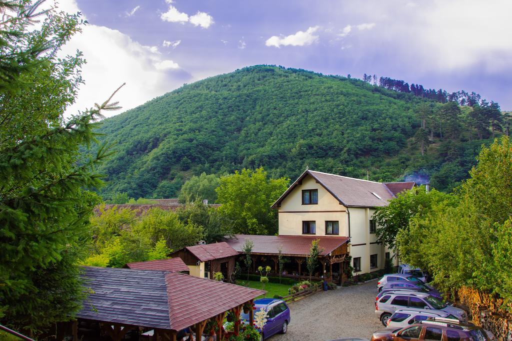 Pensiunea Domnescu Hotel Sălişte Exterior foto