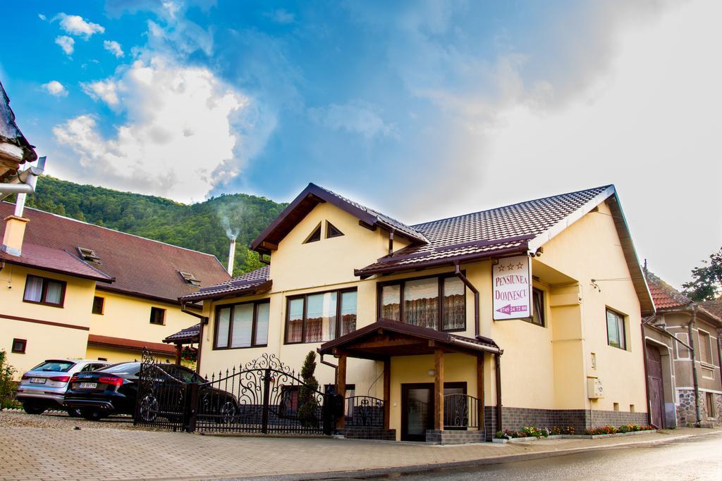 Pensiunea Domnescu Hotel Sălişte Exterior foto