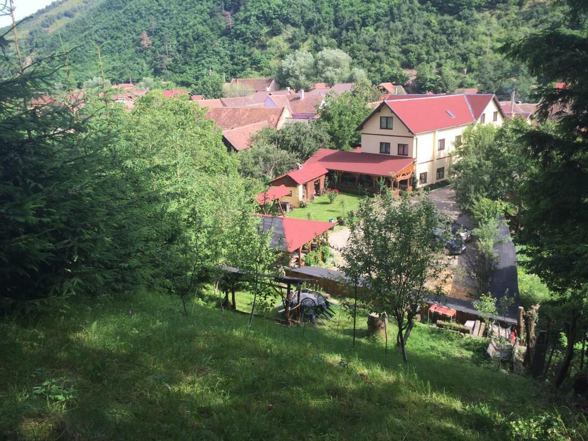 Pensiunea Domnescu Hotel Sălişte Exterior foto