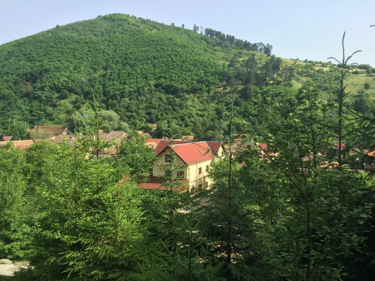 Pensiunea Domnescu Hotel Sălişte Exterior foto