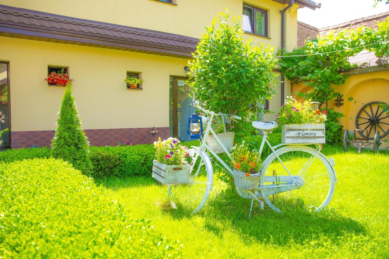 Pensiunea Domnescu Hotel Sălişte Exterior foto