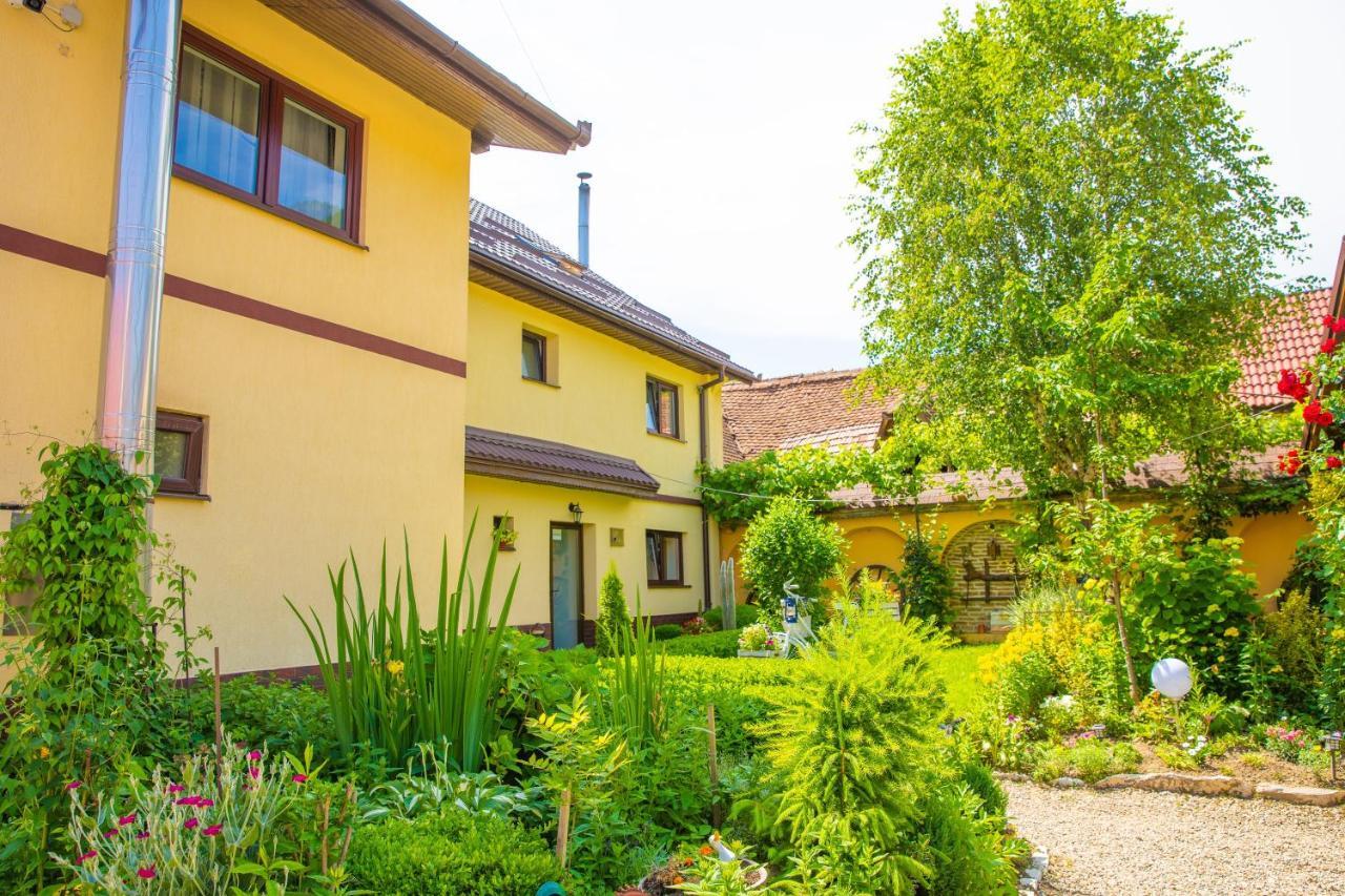 Pensiunea Domnescu Hotel Sălişte Exterior foto