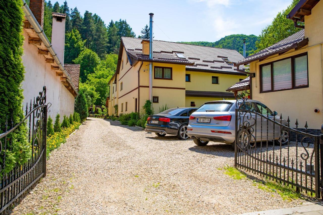 Pensiunea Domnescu Hotel Sălişte Exterior foto